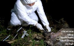 Laboratorium BBVeteriner Wates Pastikan Bangkai Domba di Sungai Serang Negatif PMK