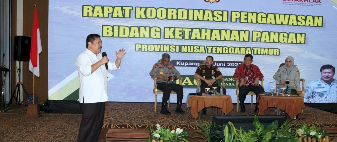 Inspektur Jenderal Kementerian Pertanian, Jan Samuel Maringka, pada Koordinasi Bidang Ketahanan Pangan di Kupang.