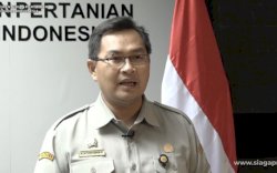 Cegah Meluasnya PMK, Pemerintah Siap Geber Vaksinasi Darurat Pada Ternak