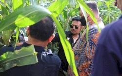 Mentan Tinjau Perkembangan Jagung Dua Tongkol di Kabupaten Gowa