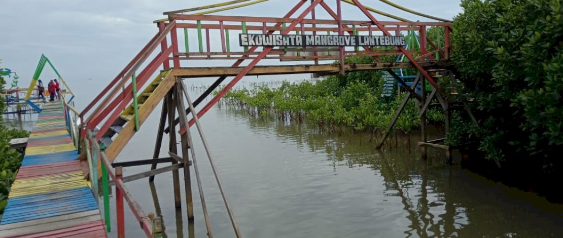 Camat Tamalanrea Sebut Hutan Mangrove Lantebung Bakal jadi Longwis Unggulan 