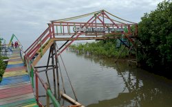 Camat Tamalanrea Sebut Hutan Mangrove Lantebung Bakal jadi Longwis Unggulan 