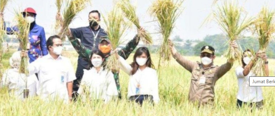 Bupati Bima: Kerja Keras Mentan SYL dan Jajarannya Tingkatkan Produksi Beras Nasional