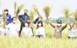 Bupati Bima: Kerja Keras Mentan SYL dan Jajarannya Tingkatkan Produksi Beras Nasional