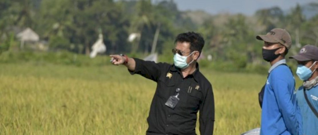 Menteri Pertanian Syahrul Yasin Limpo 