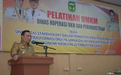 DKUP Luwu Gelar Pelatihan bagi Pelaku UMKM