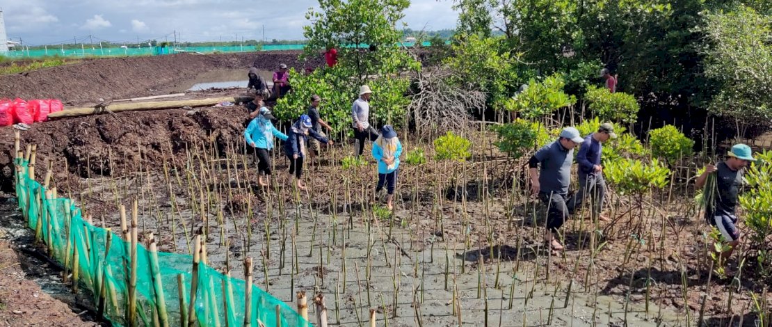 Jaga Kelestarian Kawasan Pesisir, 38 Ribu Batang Mangrove Ditanam di Bone