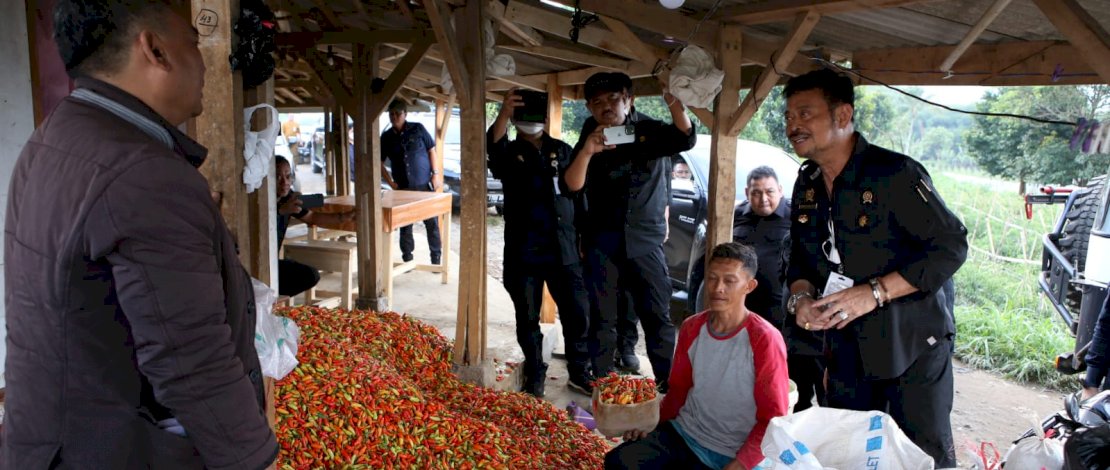 Menteri Pertanian, Syahrul Yasin Limpo, tengah berbincang dengan petani cabai.