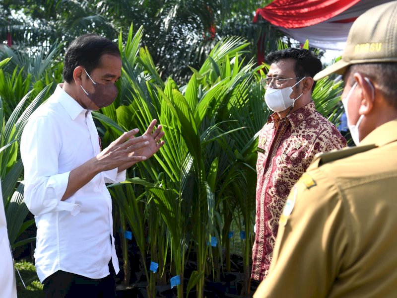 Pertanian Terus Berproduksi, Presiden Jokowi: Terima Kasih Pak Menteri