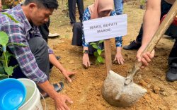 Bagi-bagi Bibit, Wakil Bupati Berupaya Hadirkan Kota Kopi di Maros
