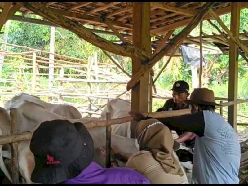 Jelang Idul Adha, Kementan Turunkan Tim Pemantau Hewan Kurban