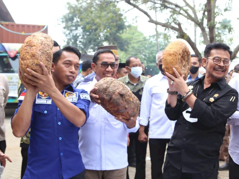 Dari Takalar, Mentan SYL Lepas Ekspor Porang ke Cina