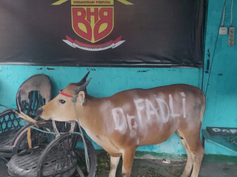 Idul Adha, Dokter Fadli Ananda Kurban Enam Ekor Sapi, Ini Lokasinya