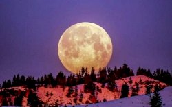 Catat Tanggalnya, Fenomena Langka Full Buck Supermoon Bakal Terjadi Bulan Ini 