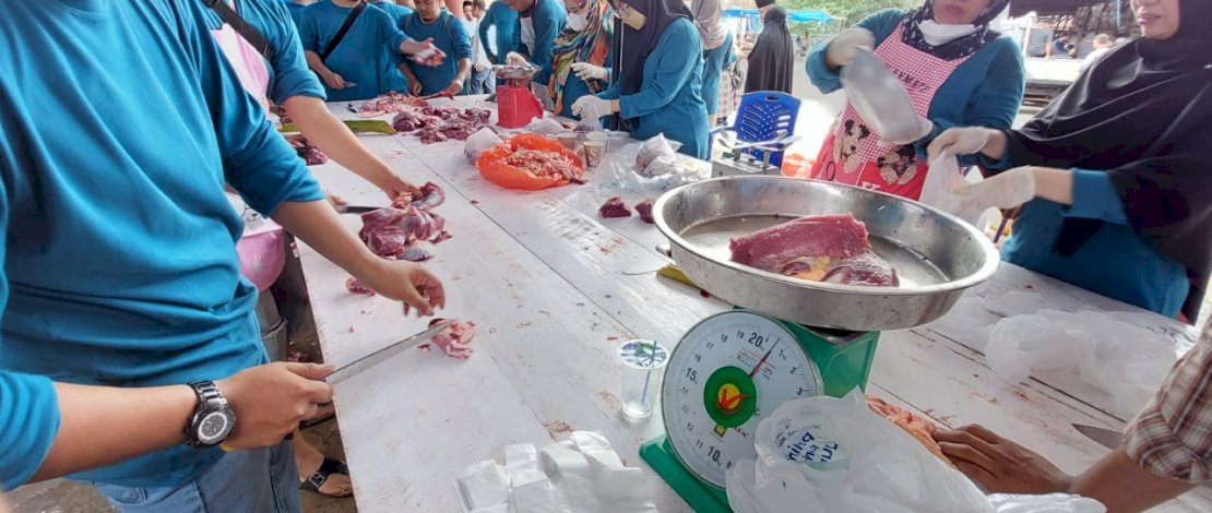 Pelabuhan Indonesia (Persero) Regional IV menyiapkan total 53 ekor sapi yang diserahkan kepada setiap cabang untuk disembelih.