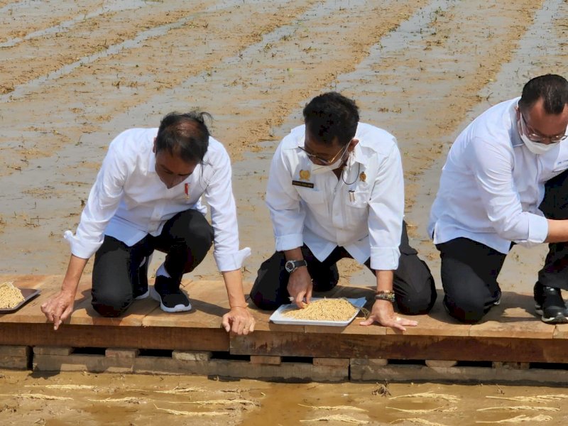Jokowi Apresiasi Lompatan Kerja Kementan Dalam Produksi Benih Unggul Padi