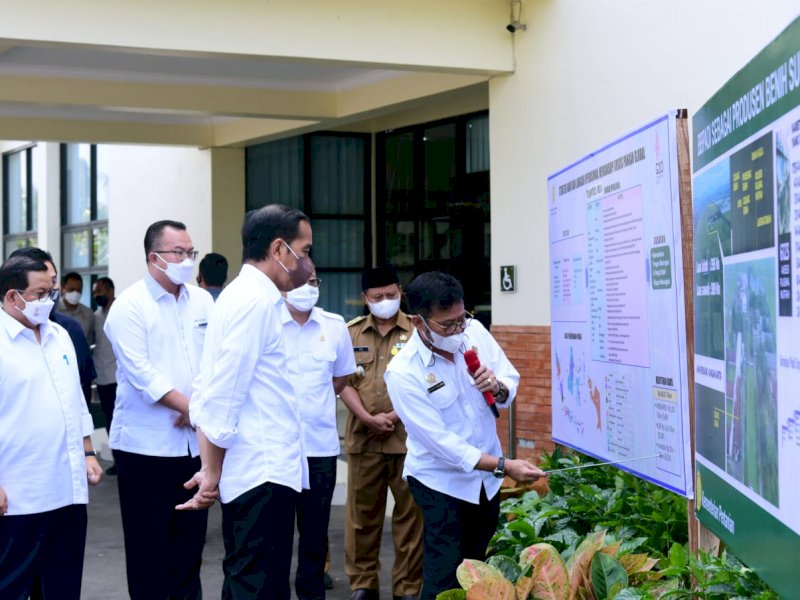 Dalam Kunker Jokowi, Kementan Pastikan Sagu dan Kelapa Terus Dikembangkan