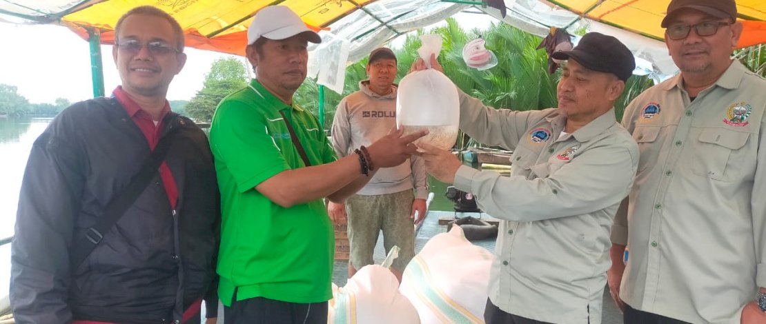 Sebanyak 250 ribu benur udang windu dari Pemerintah Provinsi Sulsel disalurkan untuk kelompok pembudidaya di Kota Makassar, Kamis, 14 Juli 2022.