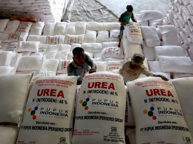 Terobosan Pemerintah Lakukan Perbaikan Tata Kelola Pupuk Bersubsidi Jaga Ketahanan Pangan Nasional