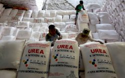 Terobosan Pemerintah Lakukan Perbaikan Tata Kelola Pupuk Bersubsidi Jaga Ketahanan Pangan Nasional