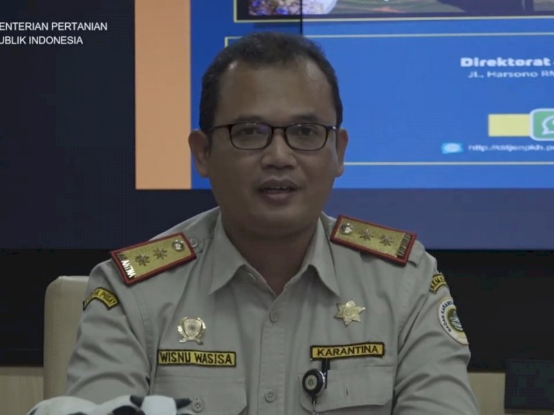 Kementan Tegaskan Penanganan PMK Dilakukan Secara Serius