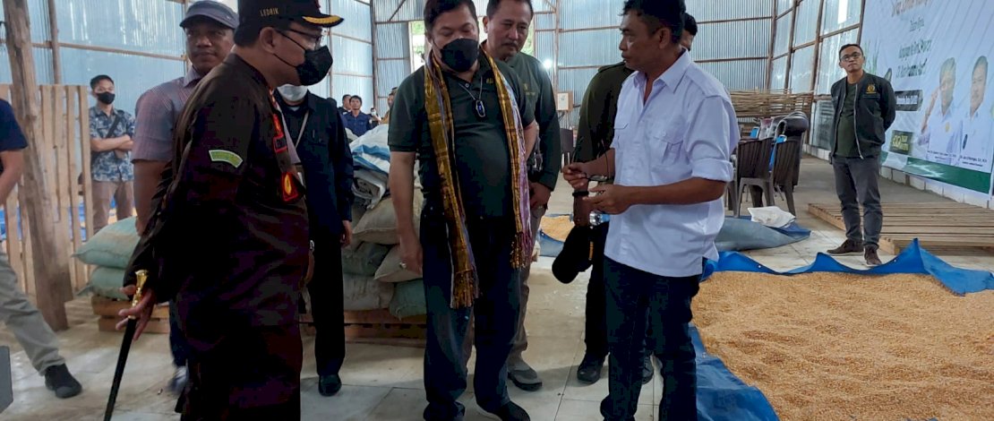 Ketua Kontak Tani Nelayan Andalan (KTNA) Nasional, Yadi Sofyan Noor, saat berkunjung ke Food Estate, Kalteng.