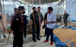 Food Estate Bisa Jadikan Indonesia Sebagai Negara Kuat di Dunia