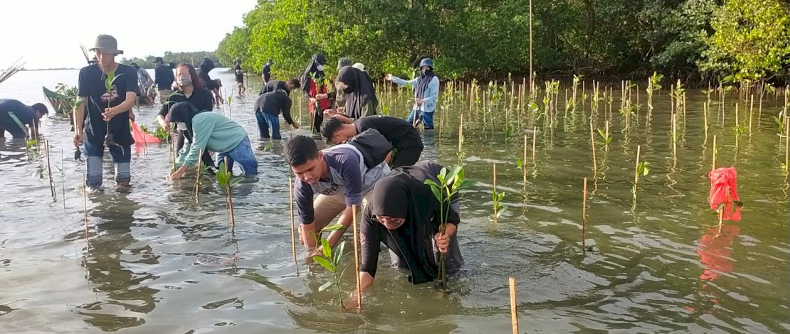DKP Sulsel melakukan penanaman mangrove di Pangkep.