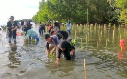 DKP Sulsel Tanam 20 Ribu Bibit Mangrove di Pangkep