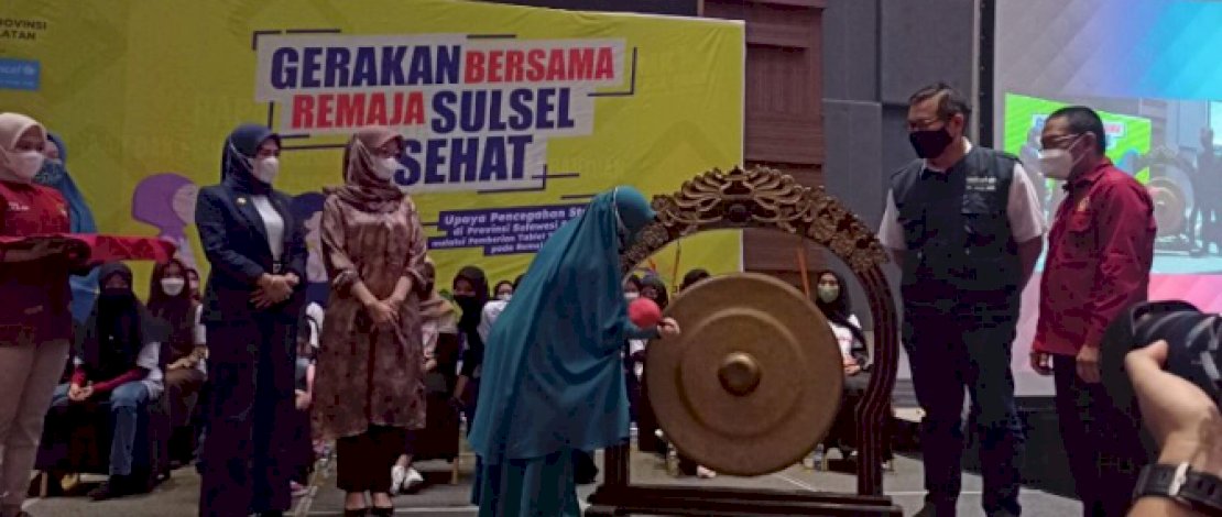 Erna Rasyid Apresiasi Gagasan Gubernur Sulsel Agar Program PKK Bersinergi dengan Seluruh SKPD