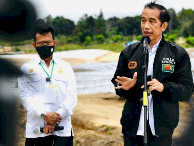 Presiden Bersyukur Harga dan Produksi Pertanian Terjaga Dengan Baik