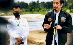 Presiden Bersyukur Harga dan Produksi Pertanian Terjaga Dengan Baik