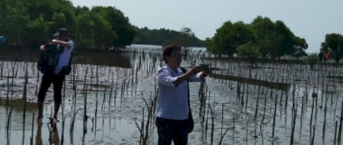 Dinas Kelautan dan Perikanan (DKP) Sulsel menanam mangrove di Kabupaten Luwu Timur, tepatnya di Desa Burau Pantai, Kecamatan Burau, Rabu, 20 Juli 2022.