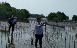 DKP Sulsel Tanam 38 Ribu Batang Mangrove di Lutim