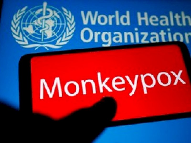 Kabar Buruk, WHO Tetapkan Status Darurat Kesehatan Global untuk Cacar Monyet