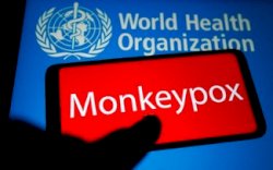 Penderita Pertama Penyakit Cacar Monyet di Indonesia Dinyatakan Sembuh