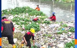 Totalitas Satgas Panakkukang Berenang di Kanal Demi Bersihkan Sampah