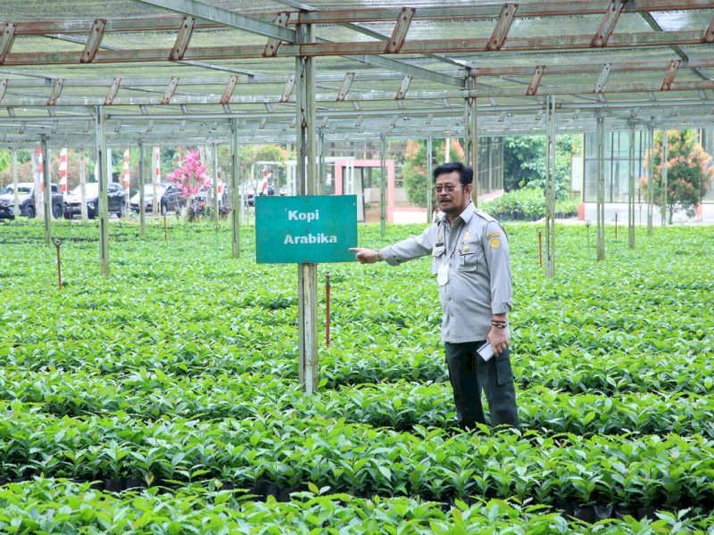 Hadapi Tantangan Global, Mentan SYL Genjot Produksi Bibit Berskala Besar
