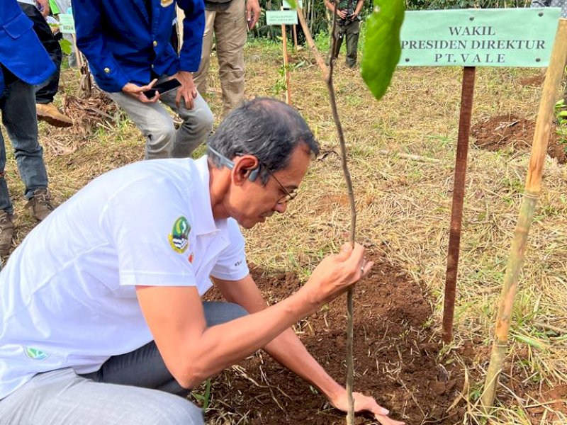 Buktikan Komitmen Keberlanjutan, PT Vale Andil Rehabilitasi DAS di Jawa Barat