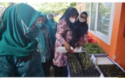 Ketua TP PKK Panakkukang Nilai 10 Program Pokok TP PKK Kelurahan se-Kecamatan 