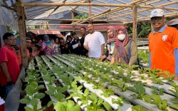 Camat Panakkukang dan  Istri  Lakukan Pembinaan Lorong PKK di Tello Baru