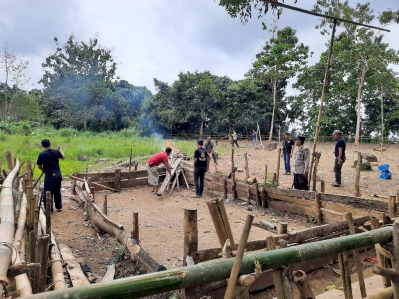Polisi Bakar Arena Judi Sabung Ayam di Bulukumba 