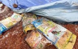 Pengakuan Pemilik Lahan Tempat Dikubur Bantuan Sembako Presiden&nbsp;