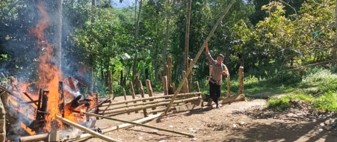Polisi Bongkar dan Bakar Arena Judi Sabung Ayam di Bulukumba Polisi Bongkar dan Bakar Arena Judi Sabung Ayam di Bulukumba