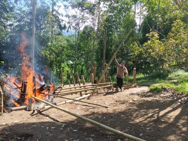 Polisi Bongkar dan Bakar Arena Judi Sabung Ayam di Bulukumba