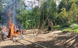Polisi Bongkar dan Bakar Arena Judi Sabung Ayam di Bulukumba