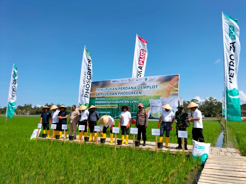 Petrokimia Gresik Dongkrak Produktifitas Padi di Luwu