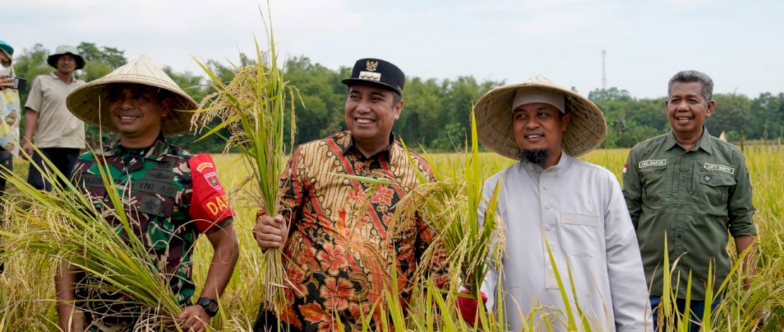 Gubernur Sulsel Bersama Bupati dan Warga Maros Panen Padi Mandiri Benih Mandiri 