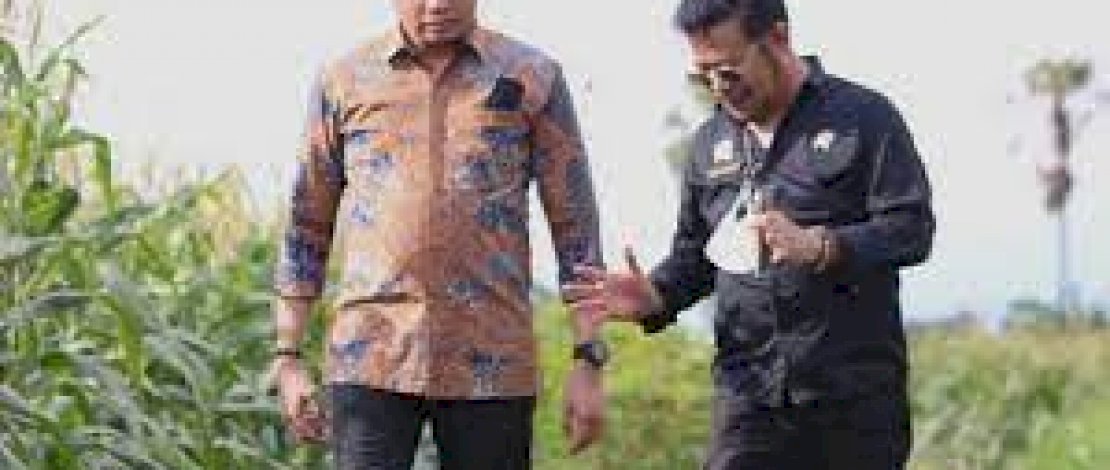 Gowa Diharap Jadi Percontohan Pengembangan Demplot Tanaman Jagung