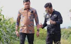 Gowa Diharap Jadi Percontohan Pengembangan Demplot Tanaman Jagung